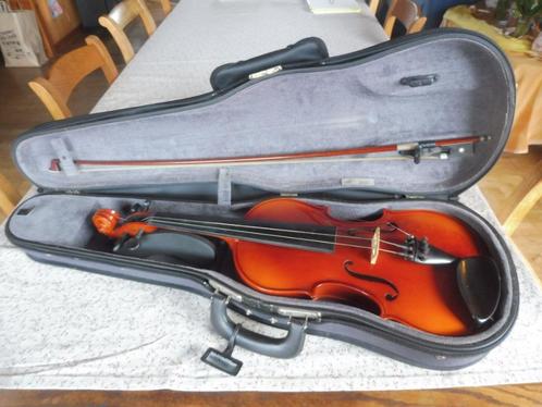 Viool, Muziek en Instrumenten, Strijkinstrumenten | Violen en Altviolen, Gebruikt, Viool, Ophalen of Verzenden
