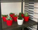 2,5€ / 4stuks kleine vazen, Huis en Inrichting, Ophalen of Verzenden, Zo goed als nieuw, Glas