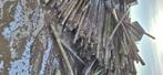 Weidepalen, Tuin en Terras, 250 cm of meer, Gebruikt, Hardhout, Palen
