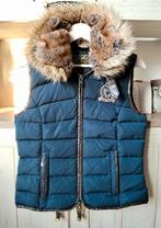 Bodywarmer Xsmall hv polo dames blauw, Kleding | Dames, Bodywarmers, Ophalen, Zo goed als nieuw, Maat 34 (XS) of kleiner, Blauw