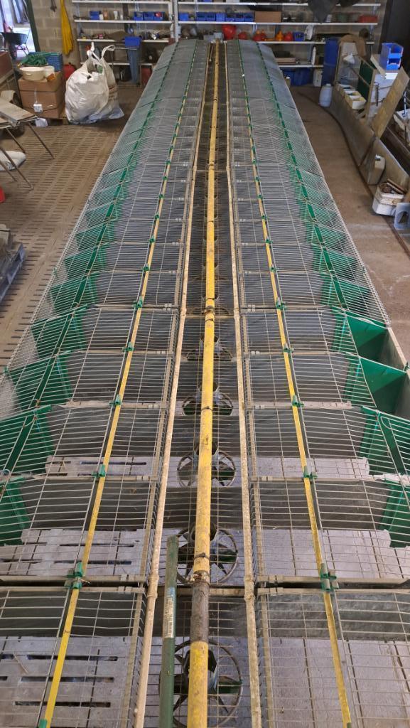 Cage à lapins professionnels, Dieren en Toebehoren, Knaagdieren en Konijnen | Hokken en Kooien, Zo goed als nieuw, Kooi, 90 cm of meer