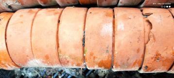 Terracotta bloempotten beschikbaar voor biedingen