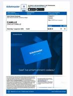 2 kaartjes circus camille op 1 agustus, Tickets en Kaartjes, Twee personen, Augustus, Overige typen