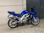 Suzuki SV1000S, Motos, Entreprise, Plus de 35 kW, Autre, 1000 cm³