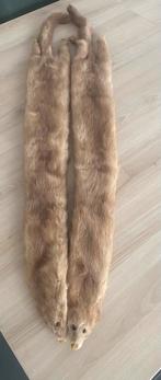 Opgezette fretten als sjaal, Enlèvement ou Envoi, Femmes