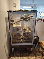 Groot kooi voor knaagdieren., Dieren en Toebehoren, Ophalen, Gebruikt, Metaal, Overige typen