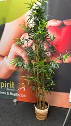 Kunstplant, Enlèvement, En pot, 150 à 200 cm