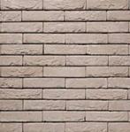 brique argentis 215x100x65, Doe-het-zelf en Bouw, Metselstenen, Ophalen of Verzenden, Zo goed als nieuw, Bakstenen
