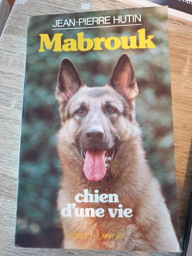 Mabrouk, chien d'une vie - Jean-Pierre Hutin, Boeken, Dieren en Huisdieren, Zo goed als nieuw, Honden, Ophalen of Verzenden