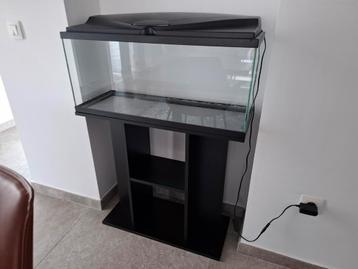 ***Aquarium poissons 80 litres avec meuble de support*** beschikbaar voor biedingen