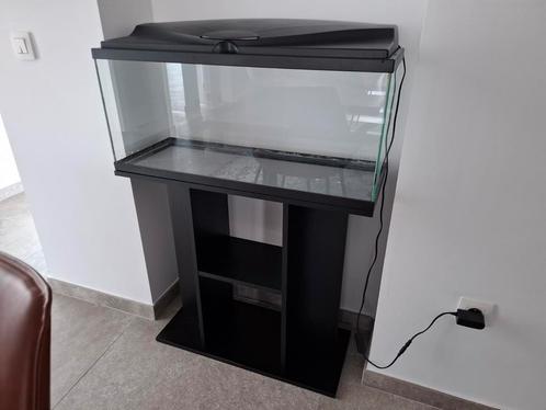 ***Aquarium poissons 80 litres avec meuble de support***, Dieren en Toebehoren, Vissen | Aquaria en Toebehoren, Zo goed als nieuw
