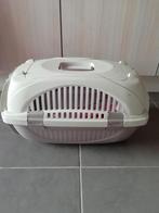 Benches, kleine hondje of poes., Dieren en Toebehoren, Ophalen