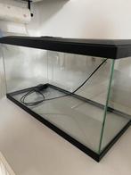 Aquarium 60 liter, Animaux & Accessoires, Poissons | Aquariums & Accessoires, Enlèvement, Utilisé, Aquarium vide