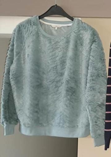 Trui, sweater, Clockhouse, mt L, nieuw beschikbaar voor biedingen