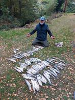 zamforellen, Watersport en Boten, Ophalen, Zo goed als nieuw
