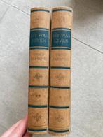 Dit was léven Peter Paul Rubens door Zsolt Harsanyi (1946), Zsolt Harsanyi, Schilder- en Tekenkunst, Ophalen, Gelezen