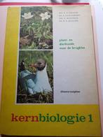 Kernbiologie 1, Livres, Livres scolaires, Comme neuf, Biologie, Enlèvement ou Envoi
