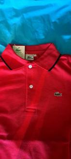 Lacoste polo nieuw, Vêtements | Hommes, Polos, Enlèvement ou Envoi, Lacoste, Taille 52/54 (L), Neuf