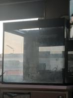 Aquarium, Dieren en Toebehoren, Ophalen