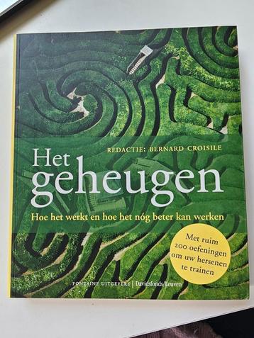 Bernard Croisile - Het geheugen beschikbaar voor biedingen