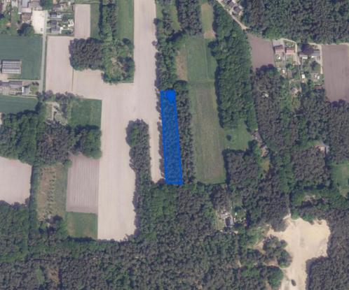 Bosgrond te koop Bel, Geel, Immo, Gronden en Bouwgronden, 1500 m² of meer, Verkoop zonder makelaar
