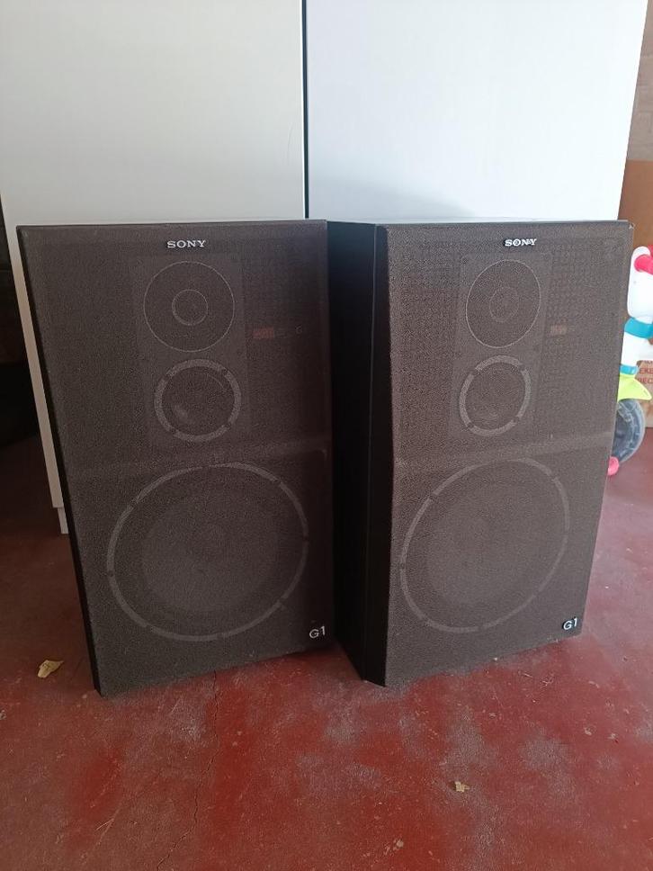 Enceintes Sony SS-G1 MK2 Luidsprekers, Audio, Tv en Foto, Luidsprekerboxen, Gebruikt, Front, Rear of Stereo speakers, 60 tot 120 watt