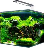 Aquarium Amtra cube 60L LED , chauffage, filtre, pompe, Ophalen, Zo goed als nieuw, Leeg aquarium