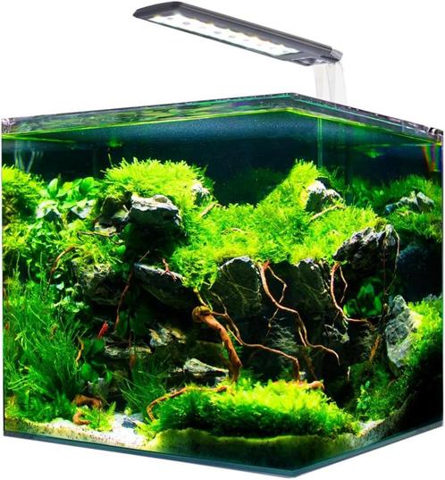 Aquarium Amtra cube 60L LED , chauffage, filtre, pompe, Dieren en Toebehoren, Vissen | Aquaria en Toebehoren, Zo goed als nieuw