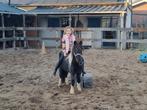 Super lieve kinderpony..!, Dieren en Toebehoren, Pony's, Ruin, A pony (tot 1.17m), Gechipt, 3 tot 6 jaar