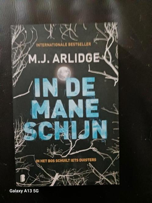 M.J. Arlidge - In de maneschijn, Livres, Thrillers, Comme neuf, Pays-Bas, Enlèvement