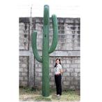 Cactus XXL – Kaktus beeld Hoogte 398 cm, Ophalen, Nieuw