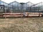 tuinbank boomstam, Ophalen, Nieuw, Hout