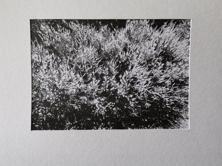 Het ritme van de heide, Antiek en Kunst, Kunst | Tekeningen en Fotografie, Ophalen