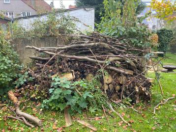 2 stères de bois de chauffage disponible aux enchères