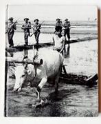 De 2de wereldoorlog china-birma-india, Boeken, Oorlog en Militair, Ophalen of Verzenden, Gelezen