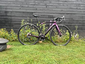 Lapierre Xelius 5.0 Di2 2023  beschikbaar voor biedingen
