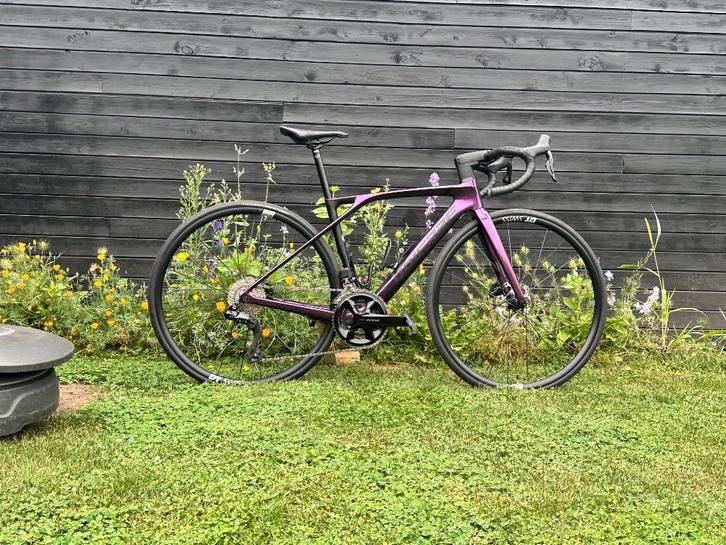 Lapierre Xelius 5.0 Di2 2023, Fietsen en Brommers, Fietsen | Dames | Sportfietsen en Toerfietsen, Zo goed als nieuw, Overige merken