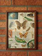 Originele collages KADERVADER, Ophalen of Verzenden, Zo goed als nieuw
