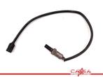 LAMBDASONDE Speed Triple 1050 2008-2010 (VIN:333179-461331), Gebruikt