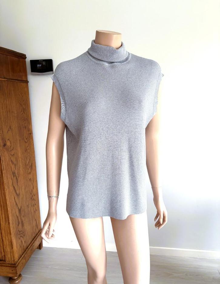 Vila Feestelijke Zilverkleurige Top – M – Nieuw  NPW 44,99 €, Kleding | Dames, Blouses en Tunieken, Nieuw, Maat 38/40 (M), Grijs