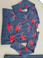 donkere pull, trui met rode vogels, Lili Gaufrette, 128, Kinderen en Baby's, Kinderkleding | Maat 128, Ophalen of Verzenden, Zo goed als nieuw