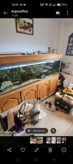 Aquarium complet, Animaux & Accessoires, Enlèvement