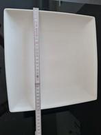 Yong Squito fine bone china 6 borden 30 cm, Ophalen, Nieuw, Bord(en)
