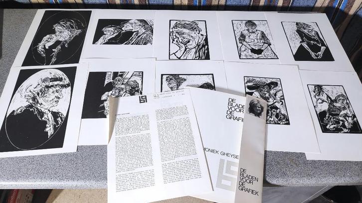 De bladen voor de grafiek: Moniek Gheysens, Boeken, Kunst en Cultuur | Beeldend, Ophalen of Verzenden