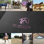 Ruiter aangeboden - stallen vrij!, Dieren en Toebehoren, Weidegang, 4 paarden of pony's of meer