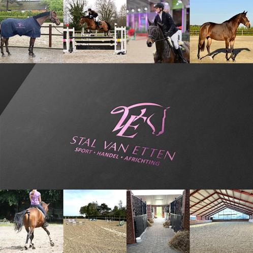 Ruiter aangeboden - stallen vrij!, Dieren en Toebehoren, Stalling en Weidegang, Stalling, Weidegang, Accessoires, 4 paarden of pony's of meer