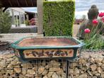 Mooie grote bonsai pot, Ophalen, Overige materialen, Gebruikt, Minder dan 30 cm