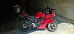 Yamaha fz6 2008, Plus de 35 kW, Particulier, 4 cylindres, Naked bike