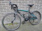 Frog 67 racefiets Team Sky 24", Fietsen en Brommers, Minder dan 10 versnellingen, Ophalen, Overige merken, Overige maten