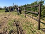 Paardenomheining met 2 of 3 liggers, Weidegang, 2 of 3 paarden of pony's